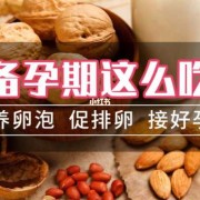 备孕吃什么促排卵,备孕期间女人吃什么促进排卵最好