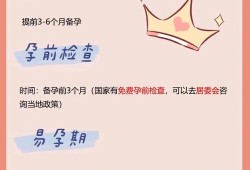 易孕期怀孕几率多大（叶酸可以提高怀孕几率吗）