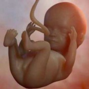 90天的孩子应该会什么,怀孕九十天的胎儿图片真实