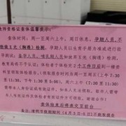 备孕可以参加教资认定体检吗,备孕期间能办健康证吗女