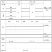 孕期检查表格（孕期检查表格模板）