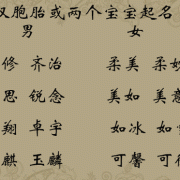 双胞胎儿子名字（双胞胎儿子名字）