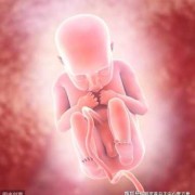 四个多月胎儿图片（4个月的孩子发低音的大声喊是怎么回事）