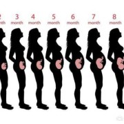 怀孕六十天胎儿有多大（怀孕60天感觉肚子大了是正常的么？按时做好检查，胎儿长大了吗）