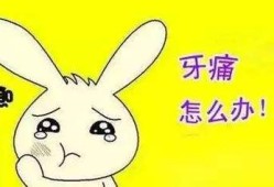 孕期上火牙疼怎么办（上火牙痛最快的治疗方法）