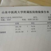 孕期49天（49天等于多少个星期，的标准答案）