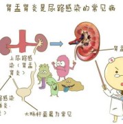 孕晚期如果查出肾不好对宝宝有影响吗,胎儿肾不好是什么原因引起的