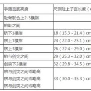 胎次和胎数是怎么区分,生育胎儿数怎么填