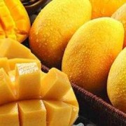 孕妇吃芒果好吗、可以吃芒果吗,孕期能吃芒果吗早期