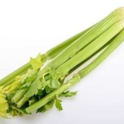 孕期可以吃芹菜（孕期可以吃芹菜吗?）