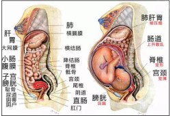 胎儿部分脏器结构显示不清是有问题还是没问题,胎儿异常的原因有哪些