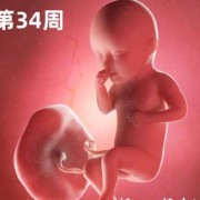 胎儿老动（怀孕35周了，宝宝胎动还是很频繁怎么回事）
