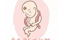 胎儿有u型压迹怎么纠正（胎儿有u型压迹怎么调整）