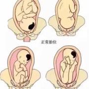怀孕八个月女胎儿图（怀孕八个月臀位胎儿还会下降吗）