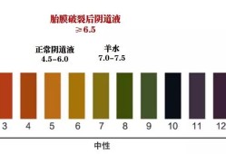 孕期ph值7（孕期ph值7.5是什么意思）
