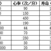 9周胎儿心跳多少正常（9岁小孩正常1分钟的心跳和呼吸有多少次）