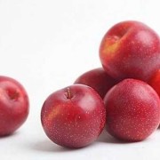 孕期吃李子对胎儿好吗（宝宝可以吃李子吗）
