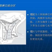 孕期淋巴结（孕期淋巴结发炎对胎儿有影响么）