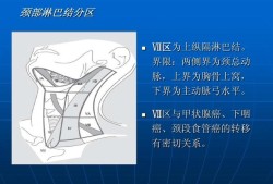 孕期淋巴结（孕期淋巴结发炎对胎儿有影响么）