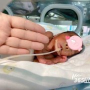 怀孕25周胎儿有多大（怀孕25周胎儿有多大图片）