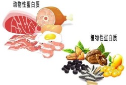 孕期吃蛋白粉好吗（孕期吃蛋白粉好吗）