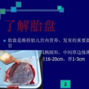 花园宝宝蓝色的叫什么,胎儿蓝色胎盘图片