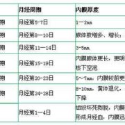 初期怀孕子宫内膜厚度多少正常,孕期子宫内膜厚度多少正常值