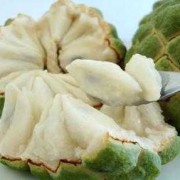 1岁宝宝可以吃番荔枝吗,怀孕吃荔枝对胎儿好吗有影响吗