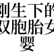孕期梦见生双胞胎女孩（孕期梦见生双胞胎女孩什么意思）