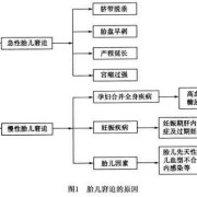 慢性胎儿窘迫的原因（导致慢性胎儿窘迫的原因）