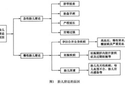 慢性胎儿窘迫的原因（导致慢性胎儿窘迫的原因）