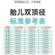 怀孕13周胎儿有多大?正常值应该是怎么样的呢?孕妇要如何补充营养,13周胎儿大小图片大全