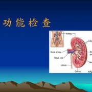 胎儿肾功能如何检查（胎儿肾功能如何检查出来）