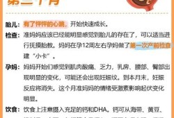 胎儿期保健（胎儿期保健的重点）