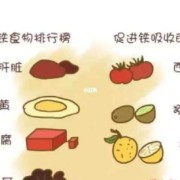 孕期缺铁怎么办（孕妇缺铁吃什么食物可以补得快）