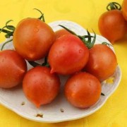 孕期可以吃柿子（孕妇可以吃春桃柿子吗？好不好）