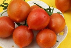 孕期可以吃柿子（孕妇可以吃春桃柿子吗？好不好）