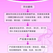 母婴保健法规定孕产妇保健技术服务有哪些,孕期保健指南最新版