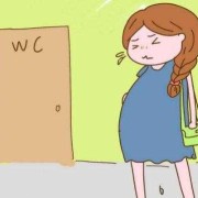 孕期跑厕所（孕期跑厕所）