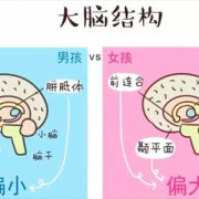 男孩晚开窍特征,男胎儿发育晚的原因