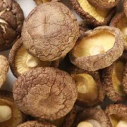 孕期香菇可以吃吗（孕期香菇可以吃吗有营养吗）