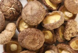 孕期香菇可以吃吗（孕期香菇可以吃吗有营养吗）