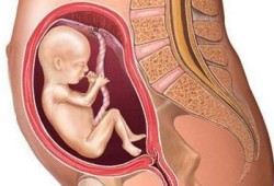 胎儿在肚子里打嗝是什么感觉（孕期胎儿在肚子里打嗝是什么感觉）