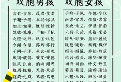 双胞胎儿子名字（双胞胎儿子名字）