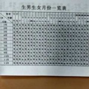 男女孕期表（手表怎么分男女）