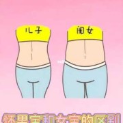 怀得高和怀得低的区别,胎儿怀的下有什么需要注意的