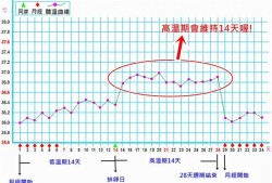 怀孕了体温一定会升高吗,怀孕期间体温会升高吗为什么