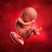 38周宝宝体重标准,怀孕38周胎儿图片