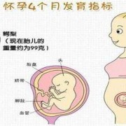 怎样判断胎儿是否健康（怀孕初期怎样判断胎儿是否健康）