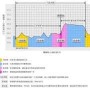 受孕期的体温（受孕期的体温变化）